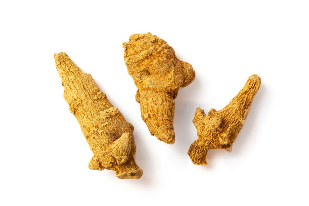 Notoginseng radix