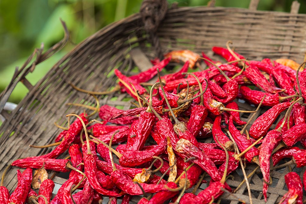 Chilis – Foto: Si-yü Steuber