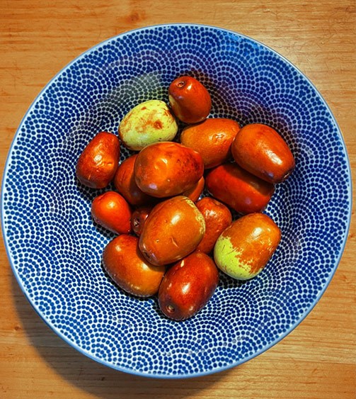 Chinesische Datteln – Jujuben – Giuggiole – Da Zao
